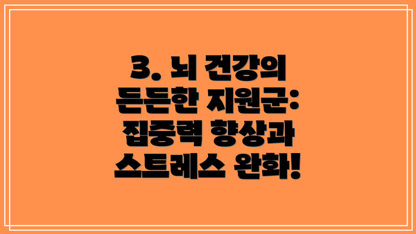3. 뇌 건강의 든든한 지원군: 집중력 향상과 스트레스 완화!
