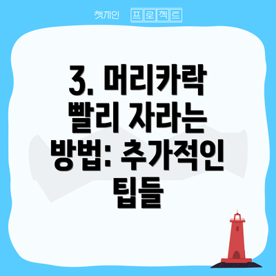 3. 머리카락 빨리 자라는 방법: 추가적인 팁들