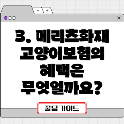 3. 메리츠화재 고양이보험의 혜택은 무엇일까요?