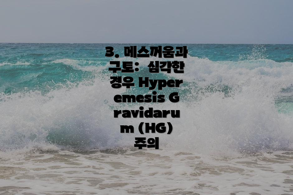 3. 메스꺼움과 구토:  심각한 경우 Hyperemesis Gravidarum (HG) 주의