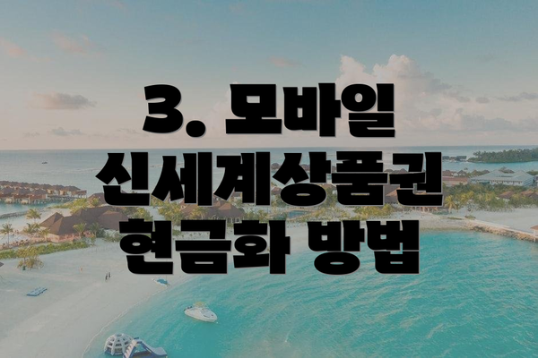 3. 모바일 신세계상품권 현금화 방법