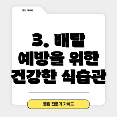 3. 배탈 예방을 위한 건강한 식습관