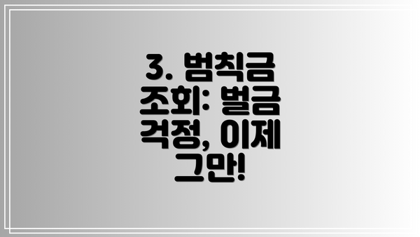 3. 범칙금 조회: 벌금 걱정, 이제 그만!