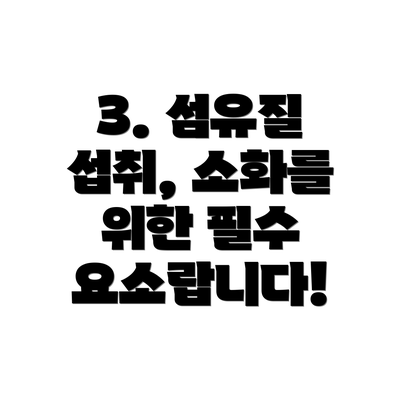 3. 섬유질 섭취, 소화를 위한 필수 요소랍니다!
