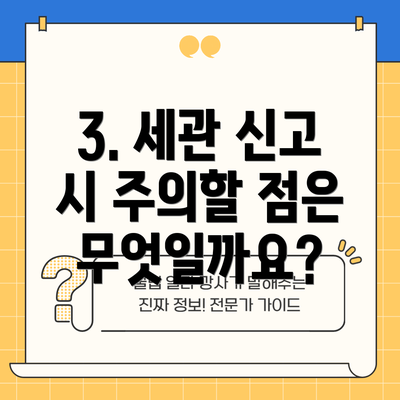 3. 세관 신고 시 주의할 점은 무엇일까요?