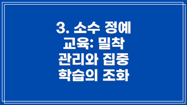 3. 소수 정예 교육: 밀착 관리와 집중 학습의 조화