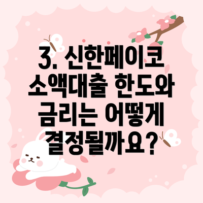 3. 신한페이코 소액대출 한도와 금리는 어떻게 결정될까요?