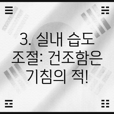 3. 실내 습도 조절: 건조함은 기침의 적!