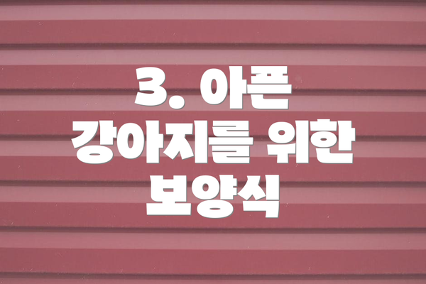 3. 아픈 강아지를 위한 보양식