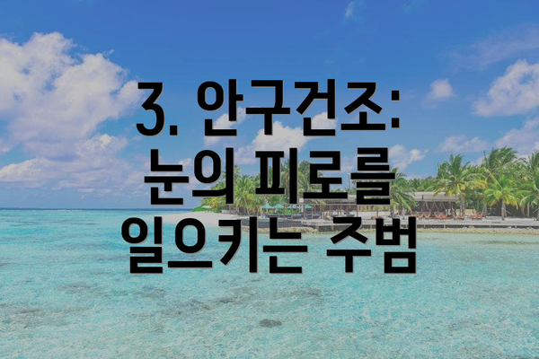 3. 안구건조: 눈의 피로를 일으키는 주범