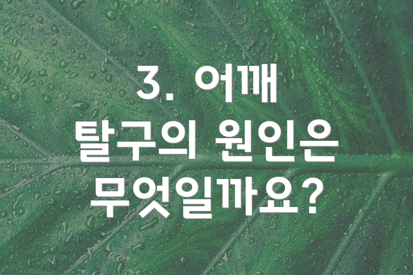 3. 어깨 탈구의 원인은 무엇일까요?