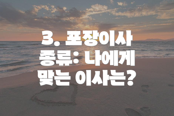 3. 포장이사 종류: 나에게 맞는 이사는?