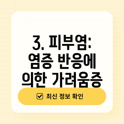 3. 피부염: 염증 반응에 의한 가려움증