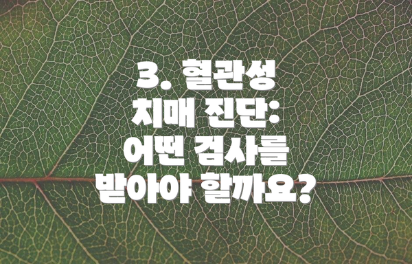 3. 혈관성 치매 진단: 어떤 검사를 받아야 할까요?