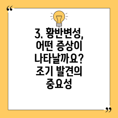 3. 황반변성, 어떤 증상이 나타날까요? 조기 발견의 중요성