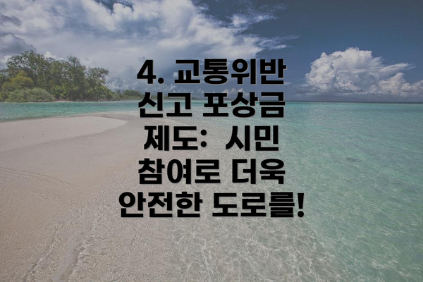 4. 교통위반 신고 포상금 제도: 시민 참여로 더욱 안전한 도로를!