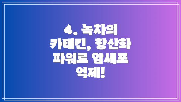 4. 녹차의 카테킨, 항산화 파워로 암세포 억제!