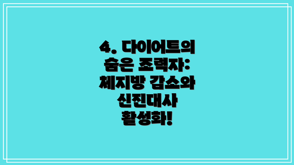 4. 다이어트의 숨은 조력자: 체지방 감소와 신진대사 활성화!