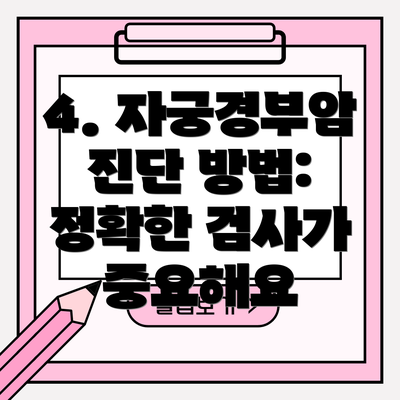 4. 자궁경부암 진단 방법: 정확한 검사가 중요해요