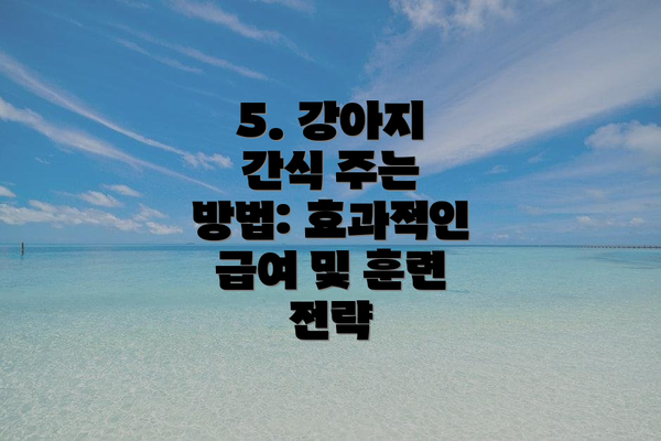 5. 강아지 간식 주는 방법: 효과적인 급여 및 훈련 전략