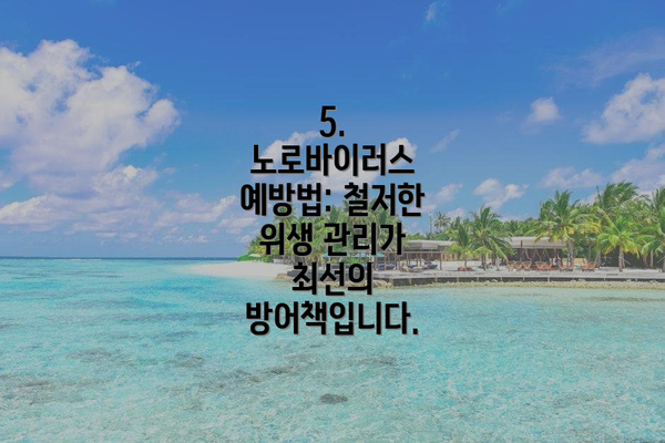 5. 노로바이러스 예방법: 철저한 위생 관리가 최선의 방어책입니다.
