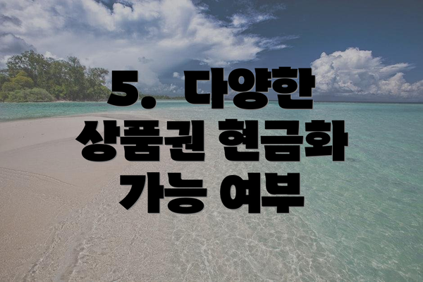 5.  다양한 상품권 현금화 가능 여부