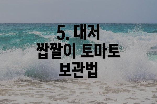 5. 대저 짭짤이 토마토 보관법