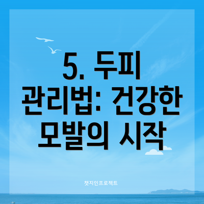 5. 두피 관리법: 건강한 모발의 시작