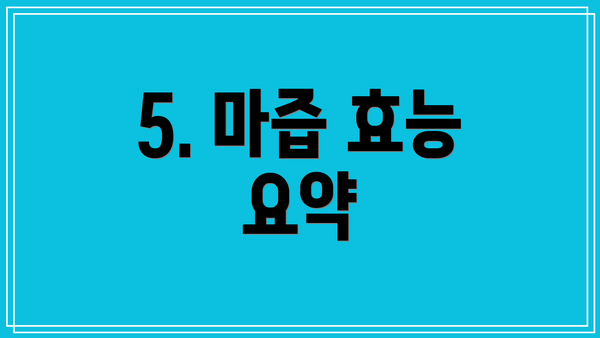 5. 마즙 효능 요약