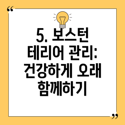 5. 보스턴 테리어 관리: 건강하게 오래 함께하기
