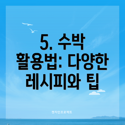 5. 수박 활용법: 다양한 레시피와 팁