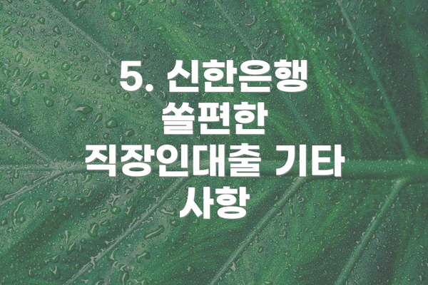 5. 신한은행 쏠편한 직장인대출 기타 사항