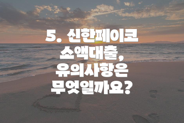 5. 신한페이코 소액대출, 유의사항은 무엇일까요?