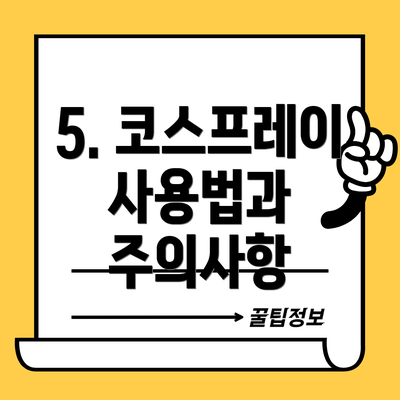 5. 코스프레이 사용법과 주의사항