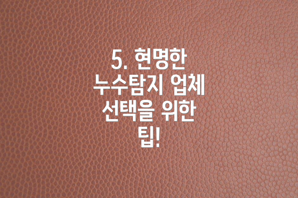 5. 현명한 누수탐지 업체 선택을 위한 팁!