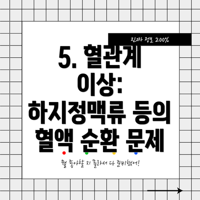 5. 혈관계 이상: 하지정맥류 등의 혈액 순환 문제