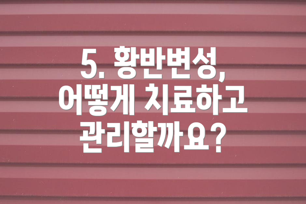 5. 황반변성, 어떻게 치료하고 관리할까요?