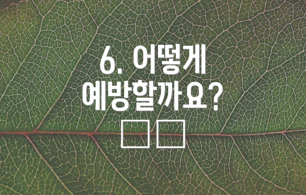 6. 어떻게 예방할까요? 🛡️