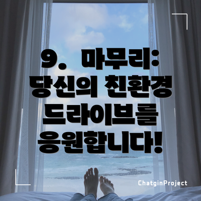 9. 마무리: 당신의 친환경 드라이브를 응원합니다!