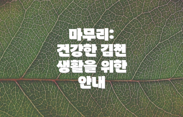 마무리: 건강한 김천 생활을 위한 안내