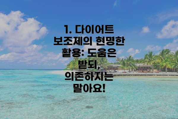 1. 다이어트 보조제의 현명한 활용: 도움은 받되, 의존하지는 말아요!