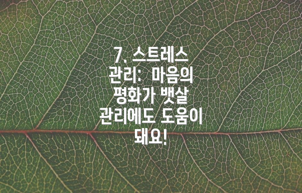 7. 스트레스 관리: 마음의 평화가 뱃살 관리에도 도움이 돼요!