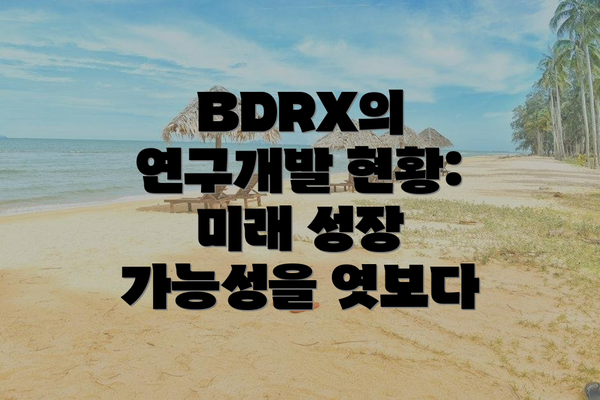 BDRX의 연구개발 현황: 미래 성장 가능성을 엿보다