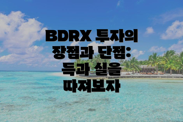 BDRX 투자의 장점과 단점: 득과 실을 따져보자
