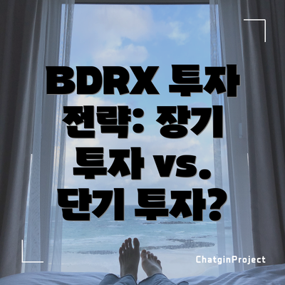 BDRX 투자 전략: 장기 투자 vs. 단기 투자?