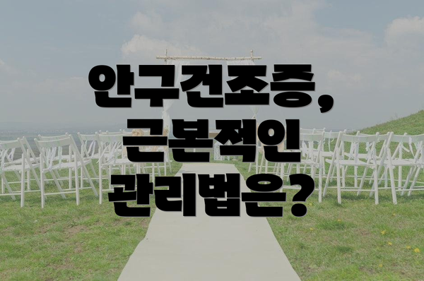 안구건조증, 근본적인 관리법은?
