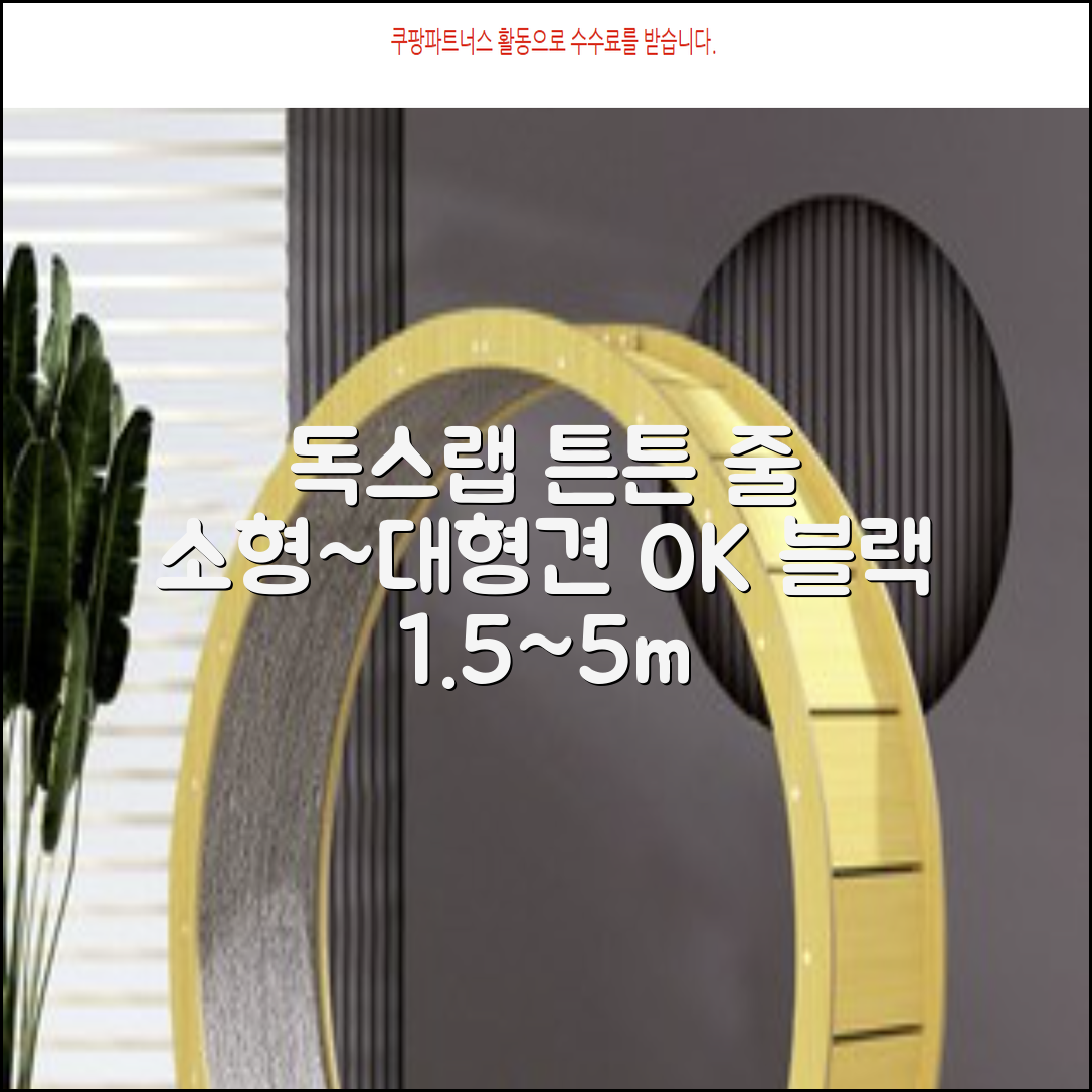 독스랩 1.5m 2m 3m 5m 스트롱 로프 소형견 중형견 대형견 줄 강아지 리드줄 산책줄, 블랙, 1개 추천 리뷰