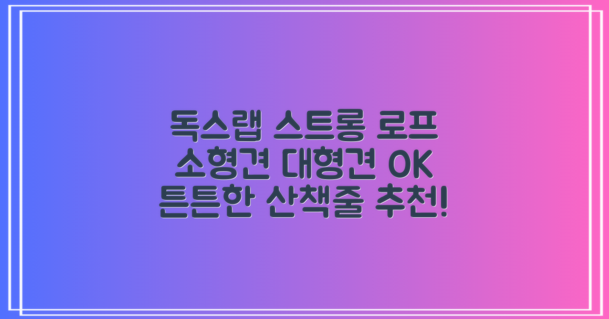 독스랩 1.5m 2m 3m 5m 스트롱 로프 소형견 중형견 대형견 줄 강아지 리드줄 산책줄, 블랙, 1개 추천 리뷰