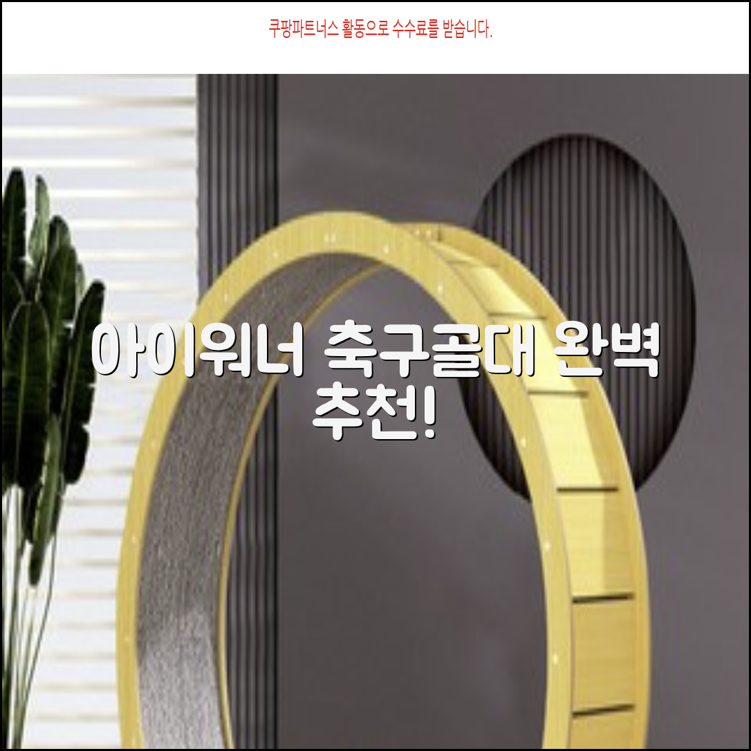 아이워너 길이 조절 접이식 축구골대 세트, 혼합색상, 1세트 추천 리뷰