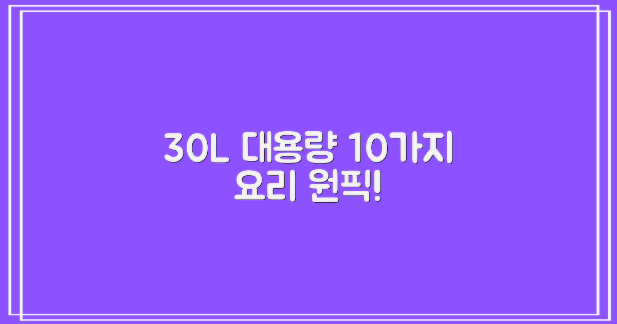 30L 대용량, 10가지 요리 가능